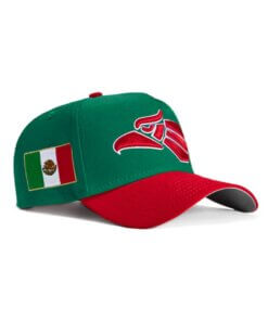 Hecho en México 47 Brand MVP Adjustable